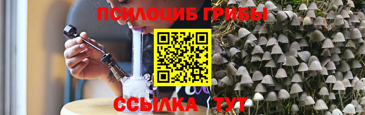 Галлюциногенные грибы MAGIC MUSHROOMS  Вход с VPN  купить закладку  Владивосток 