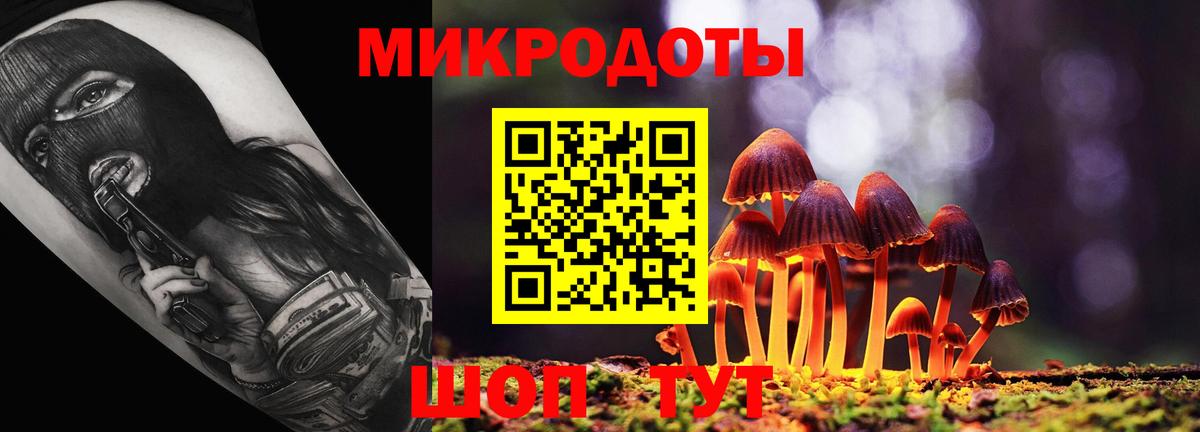 Галлюциногенные грибы Psilocybe Владивосток